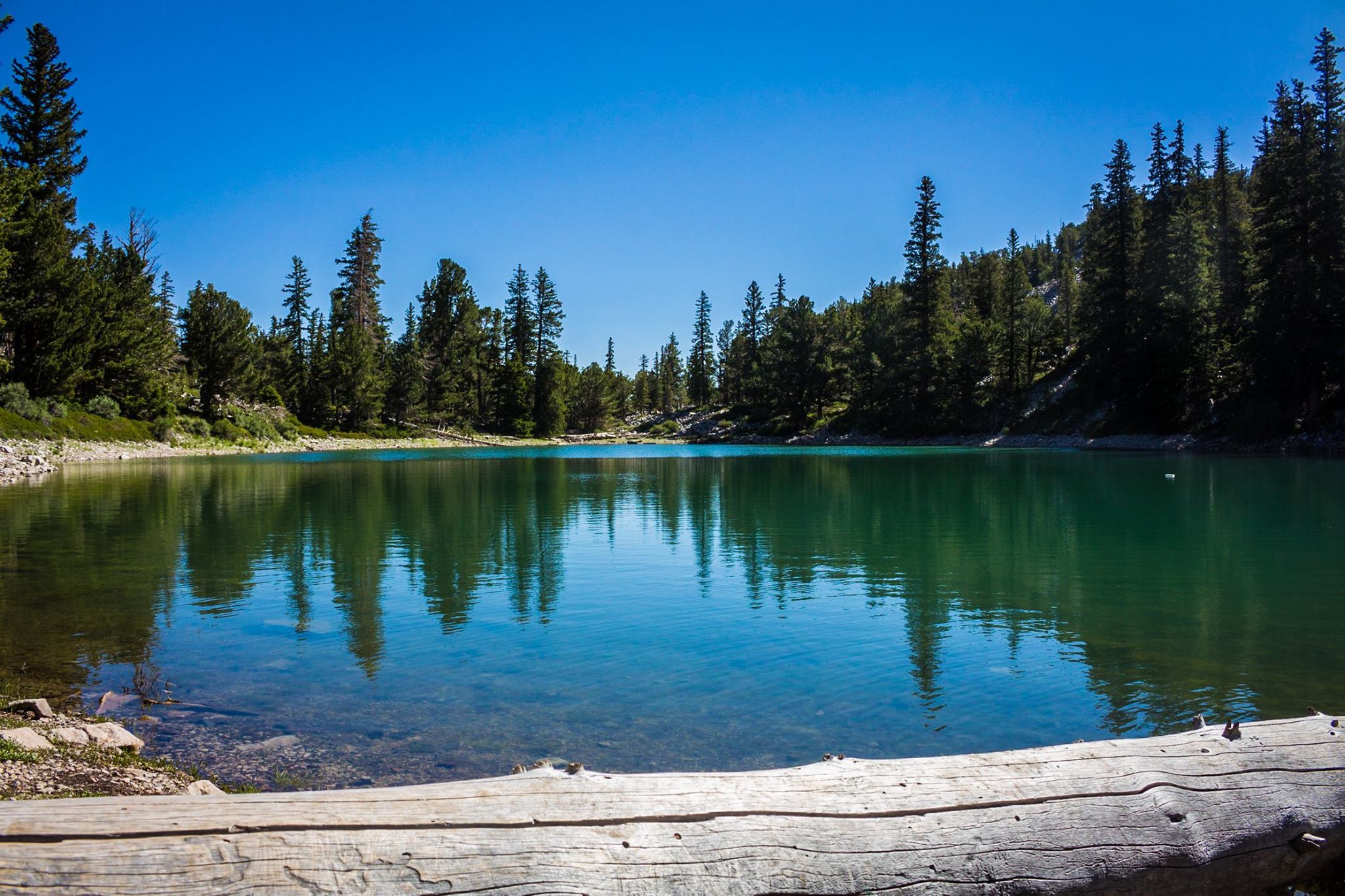 Teresa Lake at Great Basin » Next Stop: Adventure