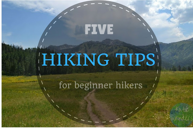 Hiking Tips for Beginner Hikers [Guest Post]