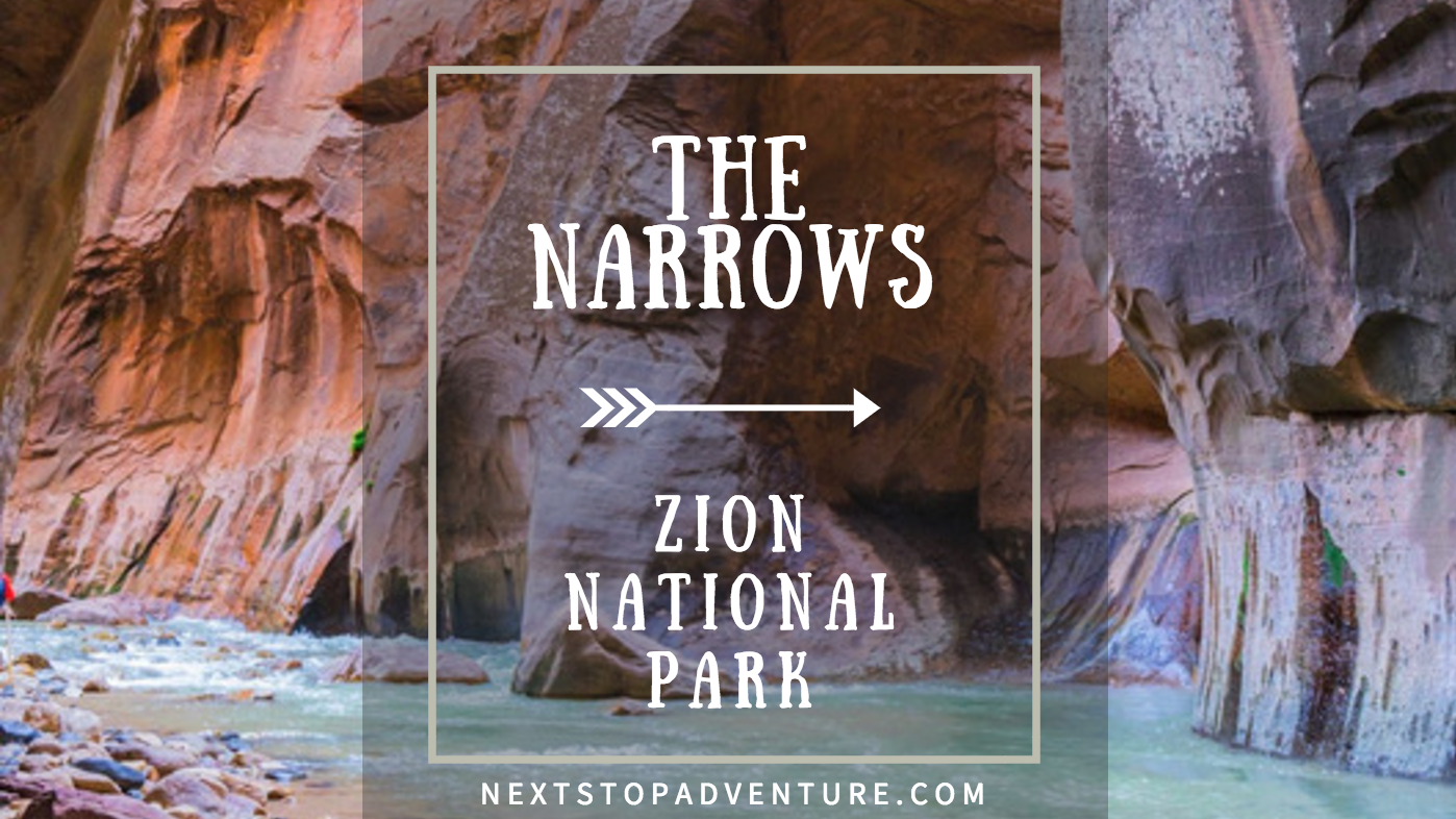 Hiking the Narrows [Zion National Park]