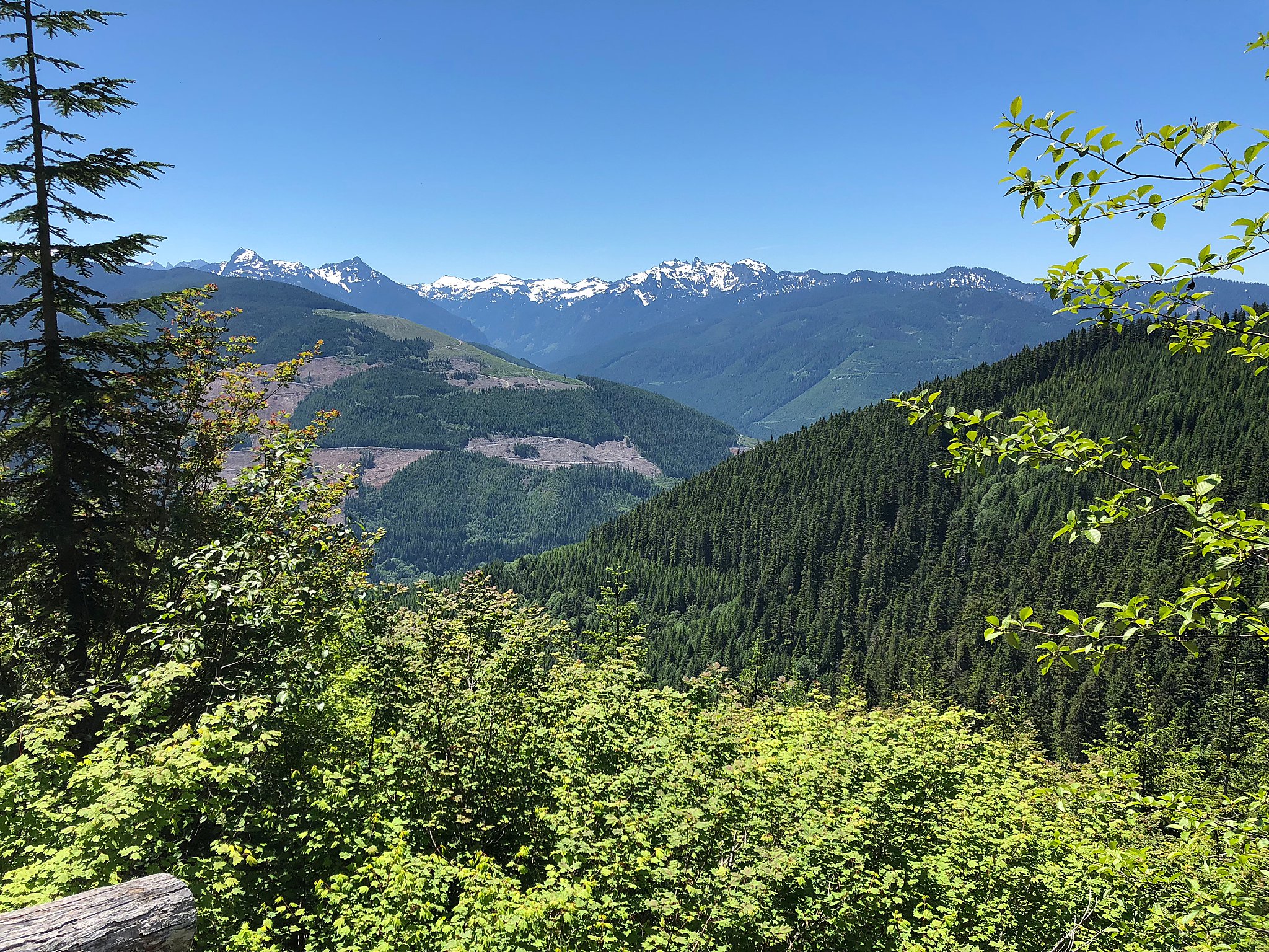 Beckler peak, mount baker, snoqualmie national forest, seattle hikes, panoramic views, 52 hike challenge