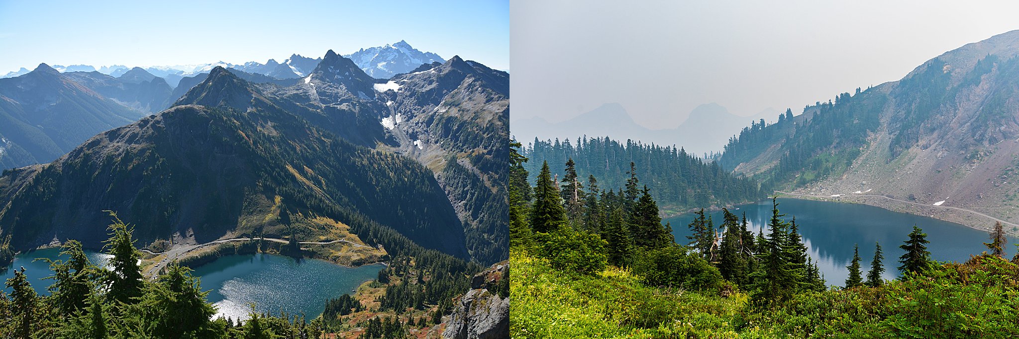 mount baker wilderness, mount baker, winchester mountain, winchester lookout, hike, 52 hike challenge, wildfire, dog friendly hike, washington, twin lakes trailhead